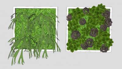 垂直花园观赏植物种植SU模型下载_sketchup草图大师SKP模型