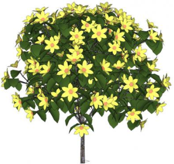 黄色开花灌木SU模型下载_sketchup草图大师SKP模型