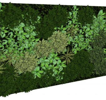 地被植物墙SU模型下载_sketchup草图大师SKP模型