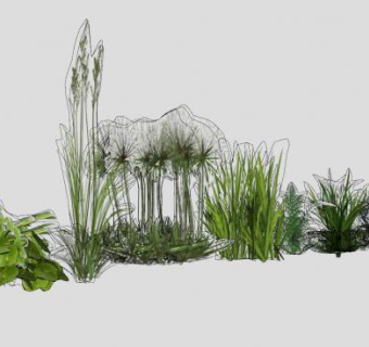 多种类草本植物SU模型下载_sketchup草图大师SKP模型
