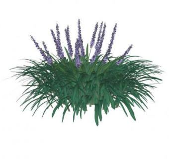 紫色花葶麦冬植物SU模型下载_sketchup草图大师SKP模型