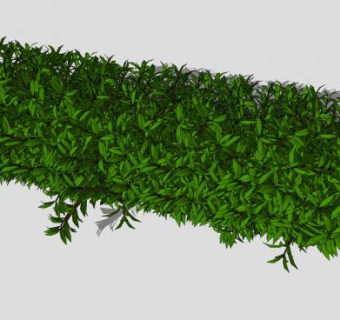 6棵木本灌木SU模型下载_sketchup草图大师SKP模型