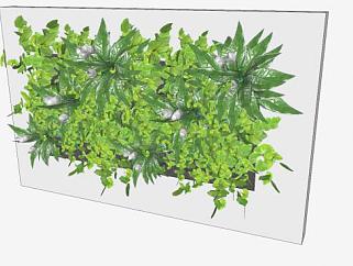 绿色植物艺术墙SU模型下载_sketchup草图大师SKP模型
