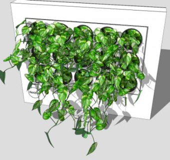 漆皮纤维板墙饰常青藤SU模型下载_sketchup草图大师SKP模型