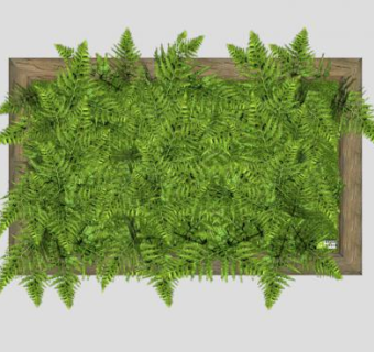 蕨类艺术墙装饰SU模型下载_sketchup草图大师SKP模型