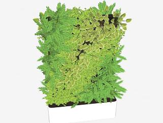 垂直花园盆景植物SU模型下载_sketchup草图大师SKP模型