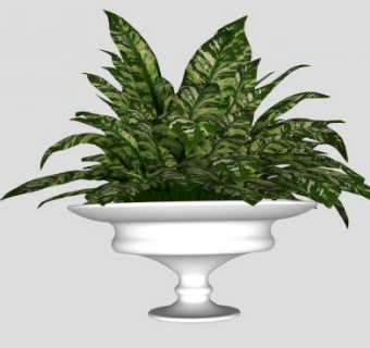 室内花盆斑叶植物SU模型下载_sketchup草图大师SKP模型