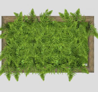 木框蕨类植物墙饰SU模型下载_sketchup草图大师SKP模型
