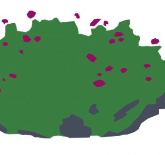 2D卡通鼠尾草灌木SU模型下载_sketchup草图大师SKP模型