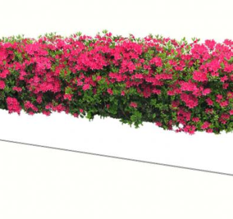 观赏开花灌木盆栽SU模型下载_sketchup草图大师SKP模型