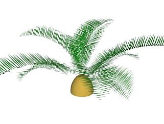 单<em>子</em>叶棕榈植物SU模型下载_sketchup草图大师SKP模型