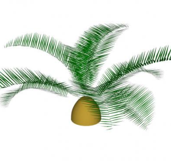 单子叶棕榈植物SU模型下载_sketchup草图大师SKP模型