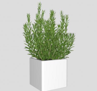 方形盆栽直立灌木SU模型下载_sketchup草图大师SKP模型