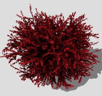 红色小檗属植物SU模型下载_sketchup草图大师SKP模型
