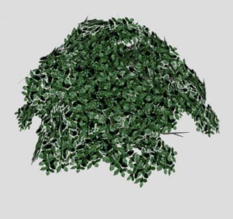 3D木本灌木SU模型SU模型下载_sketchup草图大师SKP模型