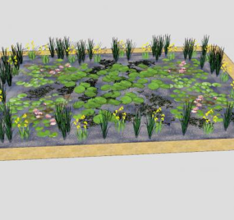 池塘荷叶水生植物SU模型下载_sketchup草图大师SKP模型