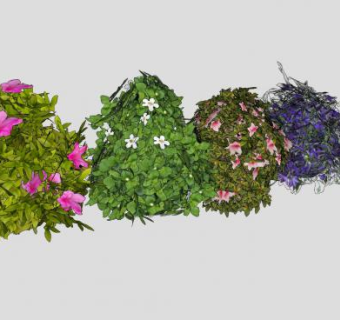 6棵开花灌木丛SU模型下载_sketchup草图大师SKP模型