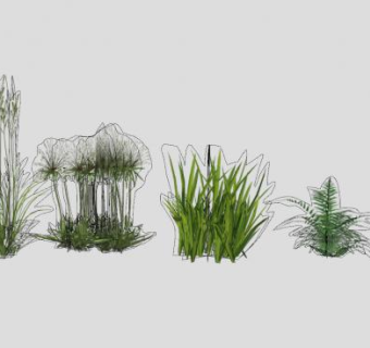 草本植物植被组SU模型下载_sketchup草图大师SKP模型