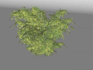 茂密的灌木植物SU模型下载_sketchup草图大师SKP模型