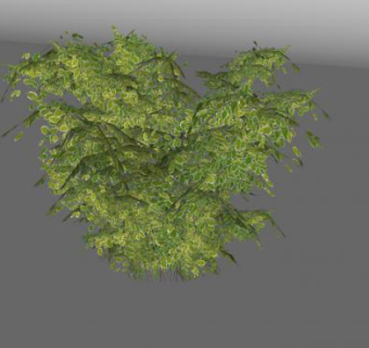 茂密的灌木植物SU模型下载_sketchup草图大师SKP模型
