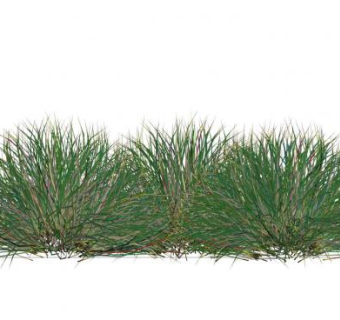 3棵草本植物SU模型下载_sketchup草图大师SKP模型