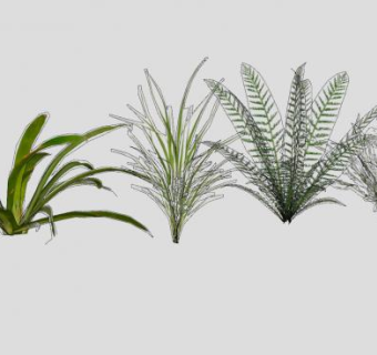 观叶植被植物组SU模型下载_sketchup草图大师SKP模型