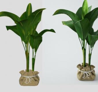 布艺盆栽单子叶观赏植物SU模型下载_sketchup草图大师SKP模型