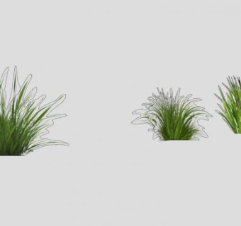 草本植物组SU模型下载_sketchup草图大师SKP模型