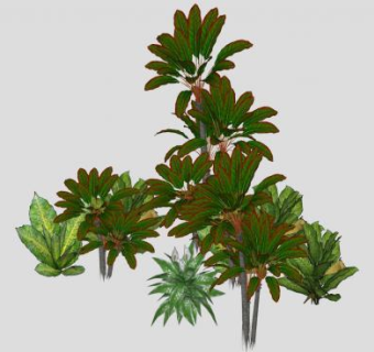 冬季植物组SU模型下载_sketchup草图大师SKP模型