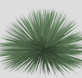 龙舌兰观景植物SU模型下载_sketchup草图大师SKP模型