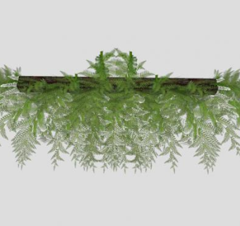 木板条蕨类植物种植SU模型下载_sketchup草图大师SKP模型
