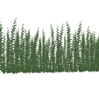 直立茎植物SU模型下载_sketchup草图大师SKP模型