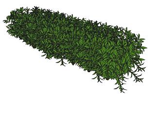 一排绿色的灌木SU模型下载_sketchup草图大师SKP模型