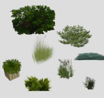 观赏灌木种类SU模型下载_sketchup草图大师SKP模型