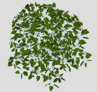 白色开花灌木SU模型下载_sketchup草图大师SKP模型