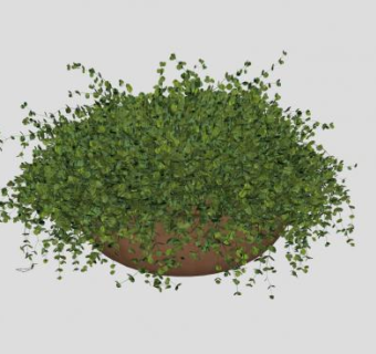 小型花钵观赏植物SU模型下载_sketchup草图大师SKP模型