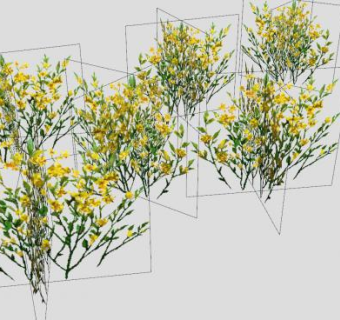 多棵黄色开花灌木SU模型下载_sketchup草图大师SKP模型