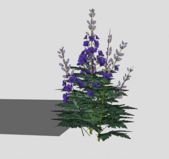 紫色花卉飞燕草SU模型下载_sketchup草图大师SKP模型