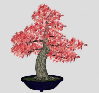 日本红枫盆景植物SU模型下载_sketchup草图大师SKP模型