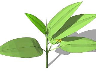 一株小型绿叶植物SU模型下载_sketchup草图大师SKP模型