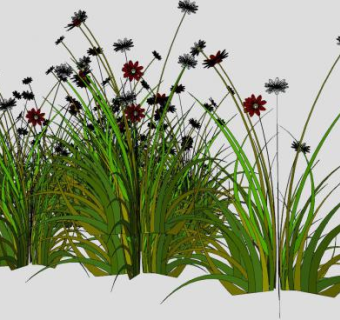 红白色细枝花卉植物SU模型下载_sketchup草图大师SKP模型
