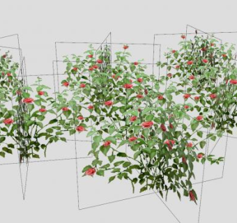 立体玫瑰花灌木SU模型下载_sketchup草图大师SKP模型