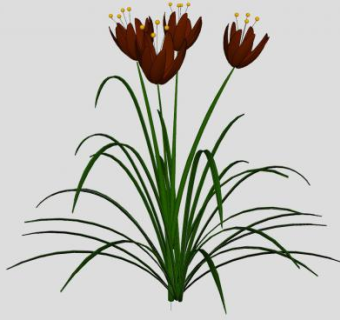 红色花草开花植物SU模型下载_sketchup草图大师SKP模型