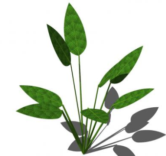 池塘水生植物SU模型下载_sketchup草图大师SKP模型