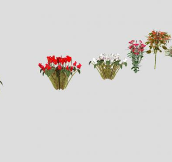 开花植物组SU模型下载_sketchup草图大师SKP模型