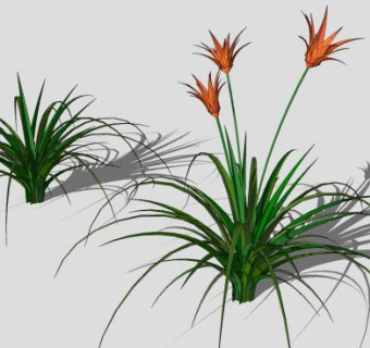 橙色花卉开花植物SU模型下载_sketchup草图大师SKP模型