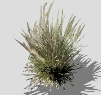 红色羽绒狼尾草SU模型下载_sketchup草图大师SKP模型
