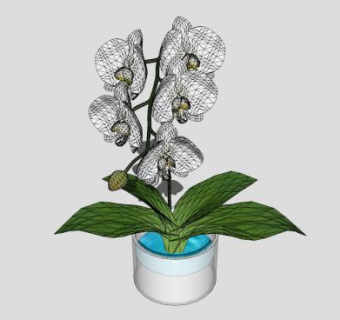 白色开花观赏植物花瓶SU模型下载_sketchup草图大师SKP模型