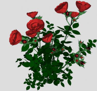 红玫瑰丛SU模型下载_sketchup草图大师SKP模型