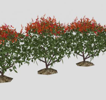 开红花的灌木SU模型下载_sketchup草图大师SKP模型